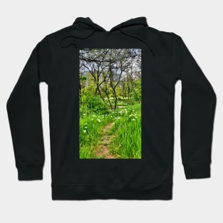 Green garden Hoodie